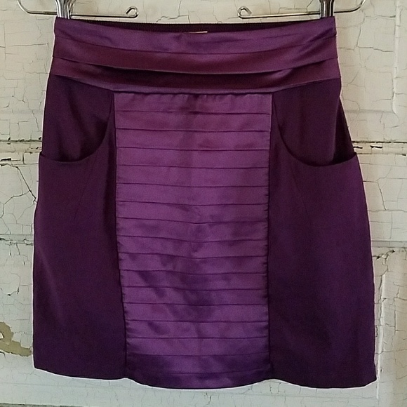 Anthropologie Dresses & Skirts - Anthropologie plum Tuxedo skirt